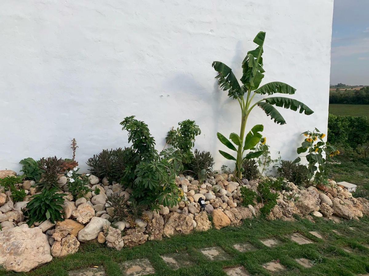 El Lagar De Los Abuelos Arcos de la Frontera Exteriér fotografie